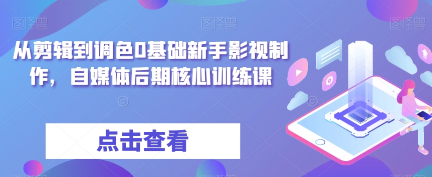 从剪辑到调色0基础新手影视制作，自媒体后期核心训练课-天天项目库