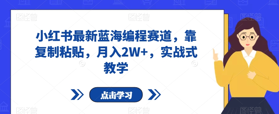 小红书最新蓝海编程赛道，靠复制粘贴，月入2W+，实战式教学【揭秘】-天天项目库