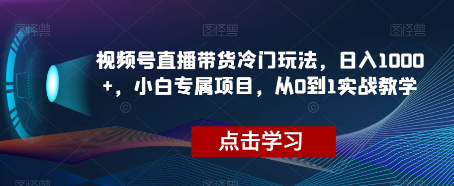 视频号直播带货冷门玩法，日入1000+，小白专属项目，从0到1实战教学【揭秘】-天天项目库