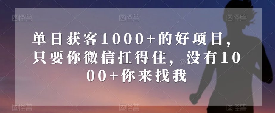 单日获客1000+的好项目，只要你微信扛得住，没有1000+你来找我【揭秘】-天天项目库