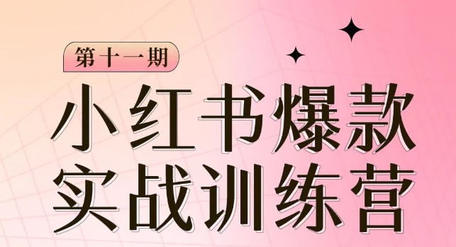 小红书博主爆款训练营第11期，手把手教你从0-1做小红书，从定位到起号到变现-天天项目库