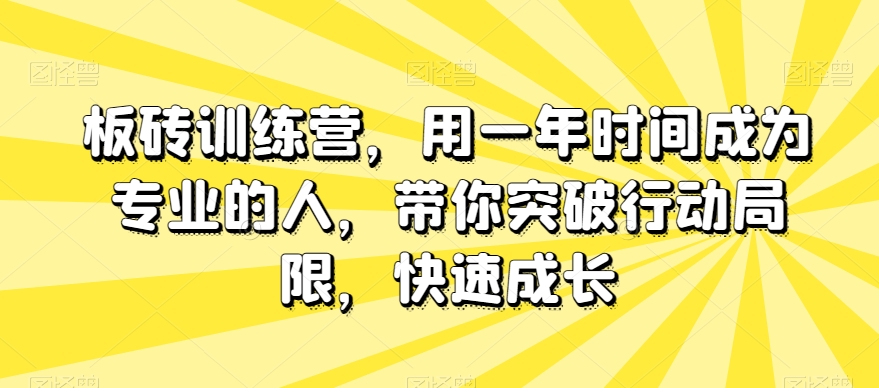 板砖训练营，用一年时间成为专业的人，带你突破行动局限，快速成长-天天项目库