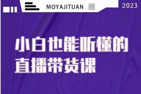 大威本威·能听懂的直播带货课，小白也能听懂，20节完整-天天项目库