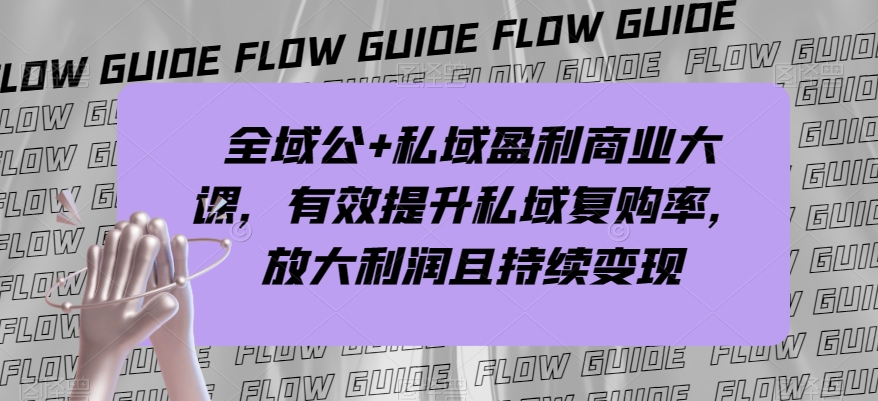 全域公+私域盈利商业大课，有效提升私域复购率，放大利润且持续变现-天天项目库