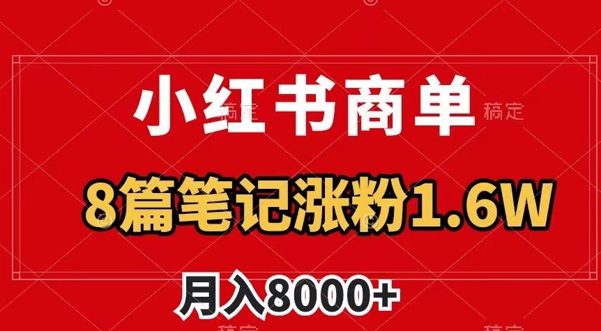 小红书商单最新玩法，8篇笔记涨粉1.6w，作品制作简单，月入8000+【揭秘】-天天项目库