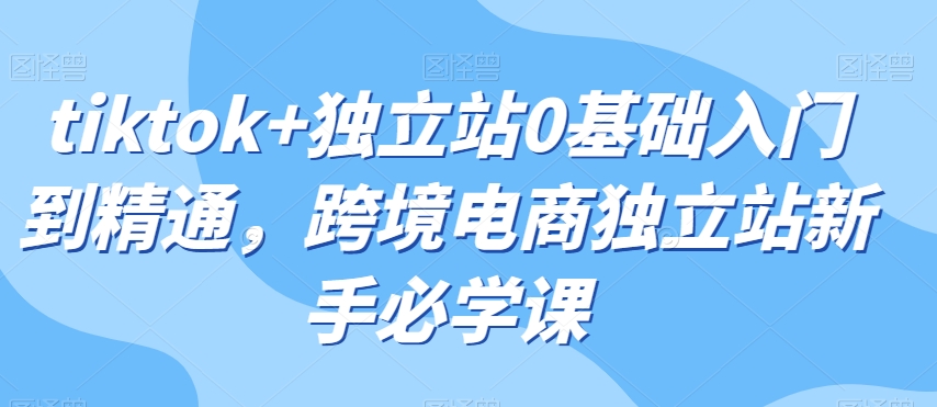 tiktok+独立站0基础入门到精通，跨境电商独立站新手必学课-天天项目库