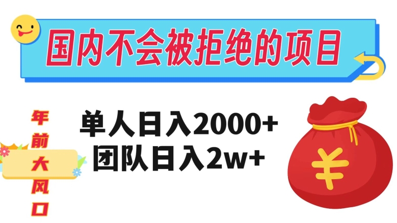 在国内不怕被拒绝的项目，单人日入2000，团队日入20000+【揭秘】-天天项目库