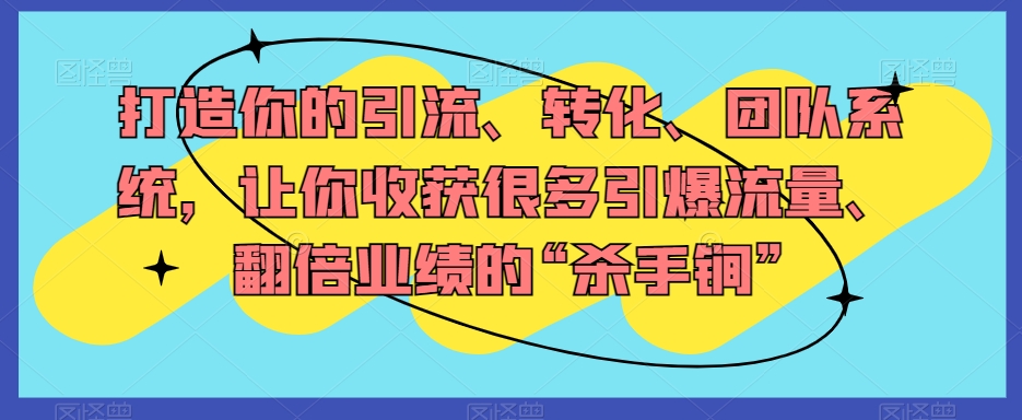 打造你的引流、转化、团队系统，让你收获很多引爆流量、翻倍业绩的“杀手锏”-天天项目库