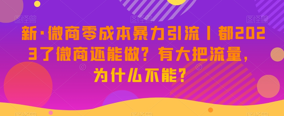 新·微商零成本暴力引流丨都2023了微商还能做？有大把流量，为什么不能？-天天项目库