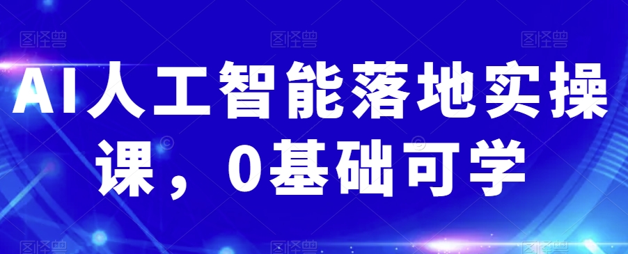 AI人工智能落地实操课，0基础可学-天天项目库