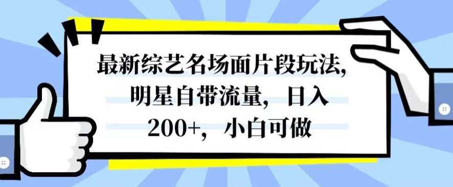 最新综艺名场面片段玩法，明星自带流量，日入200+，小白可做【揭秘】-天天项目库