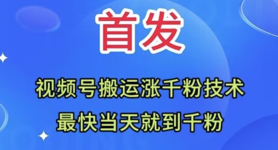 全网首发：视频号无脑搬运涨千粉技术，最快当天到千粉【揭秘】-天天项目库