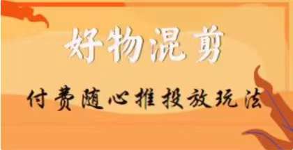 【万三】好物混剪付费随心推投放玩法，随心投放小课抖音教程-天天项目库