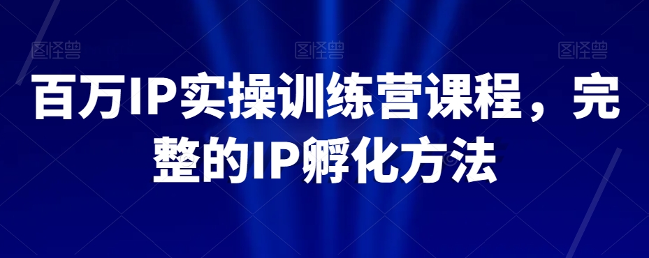 百万IP实操训练营课程，完整的IP孵化方法-天天项目库