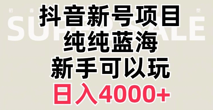 抖音蓝海赛道，必须是新账号，日入4000+【揭秘】-天天项目库