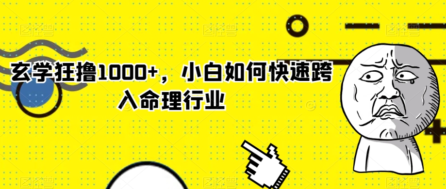 玄学狂撸1000+，小白如何快速跨入命理行业【揭秘】-天天项目库