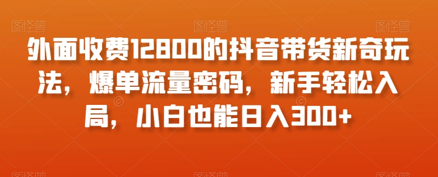 外面收费12800的抖音带货新奇玩法，爆单流量密码，新手轻松入局，小白也能日入300+【揭秘】-天天项目库