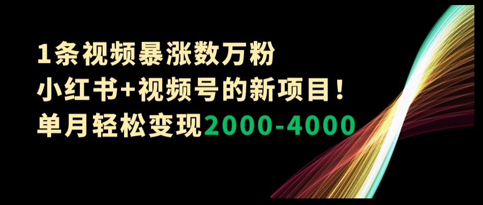 1条视频暴涨数万粉–小红书+视频号的新项目！单月轻松变现2000-4000【揭秘】-天天项目库