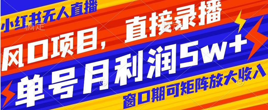 风口项目，小红书无人直播带货，直接录播，可矩阵，月入5w+【揭秘】-天天项目库