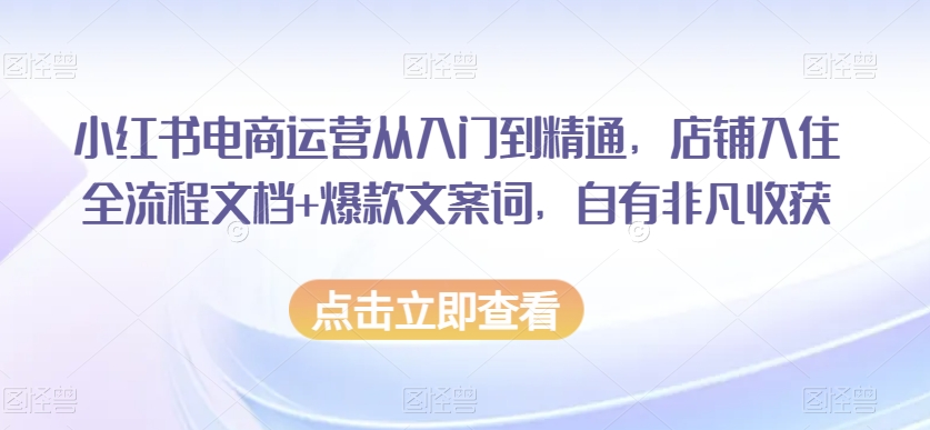 小红书电商运营从入门到精通，店铺入住全流程文档+爆款文案词，自有非凡收获-天天项目库