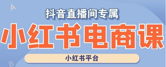 小红书电商高级运营课程，实操教学+案例分析-天天项目库