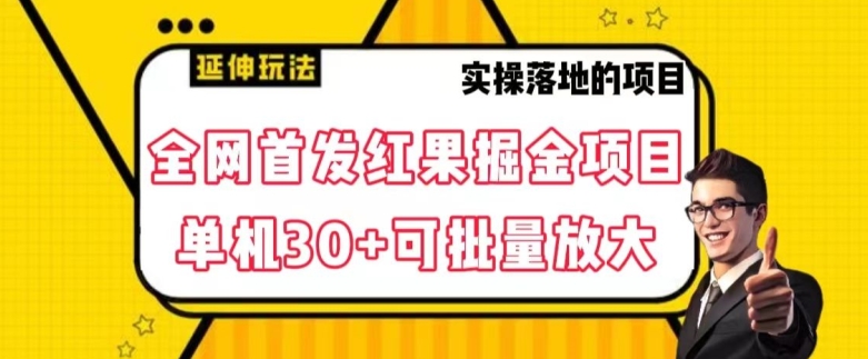 全网首发红果免费短剧掘金项目，单机30+可批量放大【揭秘】-天天项目库