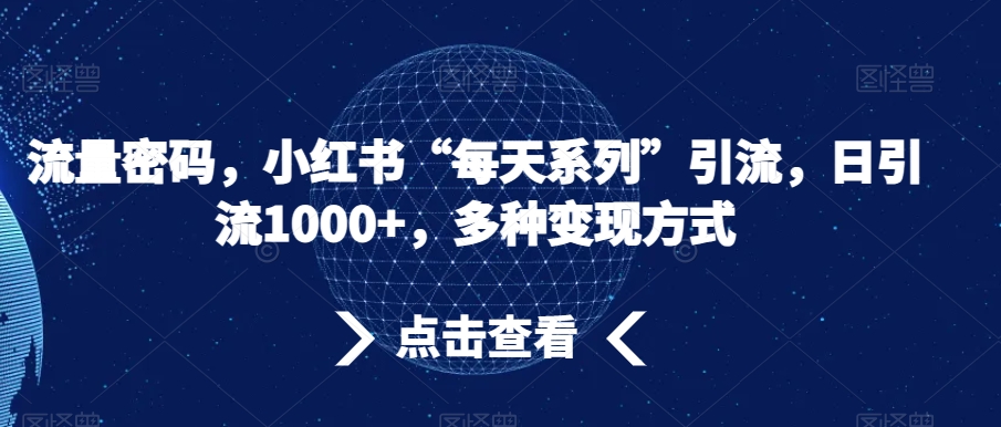 流量密码，小红书“每天系列”引流，日引流1000+，多种变现方式【揭秘】-天天项目库