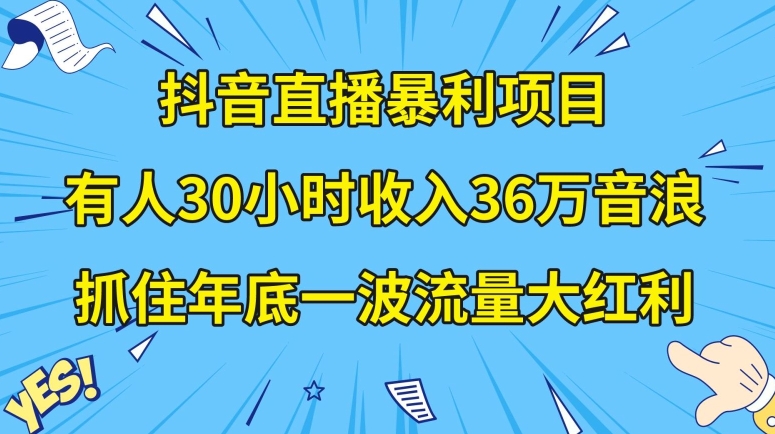 抖音直播暴利项目，有人30小时收入36万音浪，公司宣传片年会视频制作，抓住年底一波流量大红利【揭秘】-天天项目库