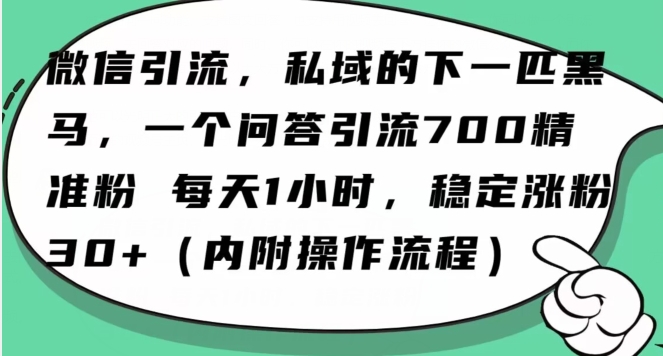 怎么搞精准创业粉？微信新赛道，每天一小时，利用Ai一个问答日引100精准粉-天天项目库