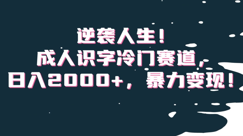 逆袭人生！成人识字冷门赛道，日入2000+，暴力变现！【揭秘】-天天项目库