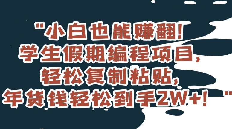 小白也能赚翻！学生假期编程项目，轻松复制粘贴，年货钱轻松到手2W+【揭秘】-天天项目库