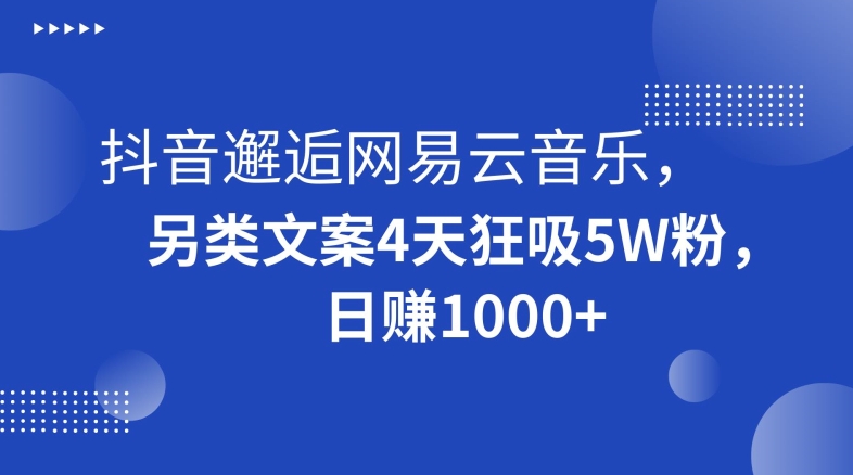 抖音邂逅网易云音乐，另类文案4天狂吸5W粉，日赚1000+【揭秘】-天天项目库