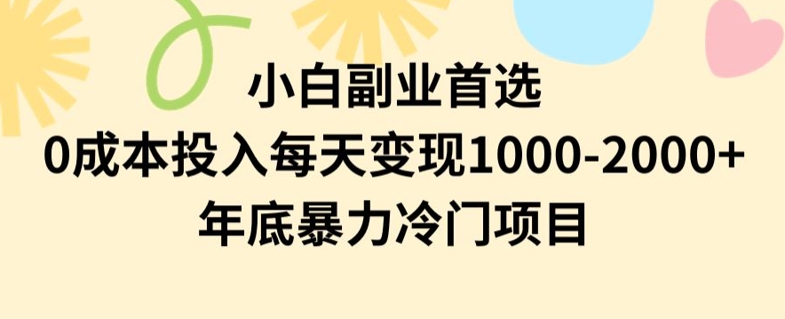 小白副业首选，0成本投入，每天变现1000-2000年底暴力冷门项目【揭秘】-天天项目库