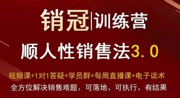 爆款！销冠训练营3.0之顺人性销售法，全方位解决销售难题、可落地、可执行、有结果-天天项目库