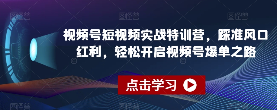 视频号短视频实战特训营，踩准风口红利，轻松开启视频号爆单之路-天天项目库