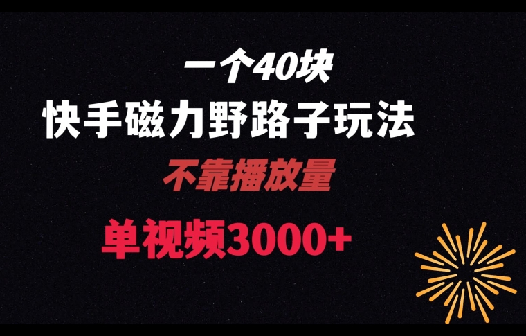 一个40块，快手联合美团磁力新玩法，无视机制野路子玩法，单视频收益4位数【揭秘】-天天项目库