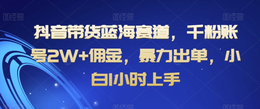 抖音带货蓝海赛道，千粉账号2W+佣金，暴力出单，小白1小时上手【揭秘】-天天项目库