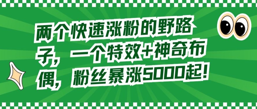 两个快速涨粉的野路子，一个特效+神奇布偶，粉丝暴涨5000起【揭秘】-天天项目库