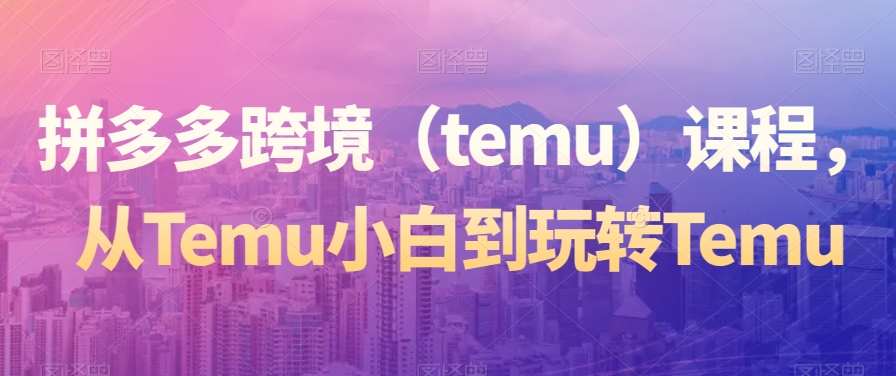 拼多多跨境（temu）课程，从Temu小白到玩转Temu-天天项目库