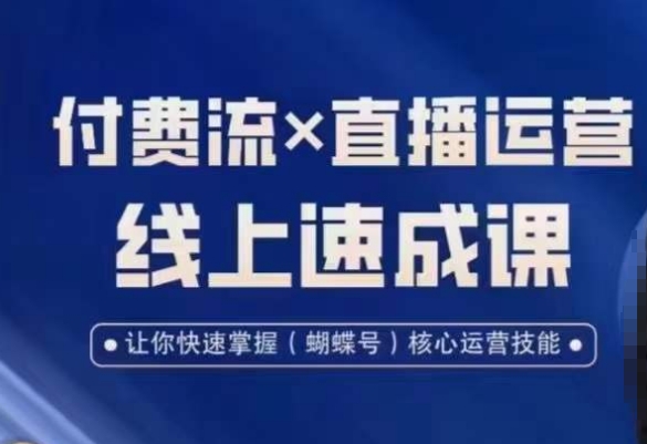 视频号付费流实操课程，付费流✖️直播运营速成课，让你快速掌握视频号核心运营技能-天天项目库