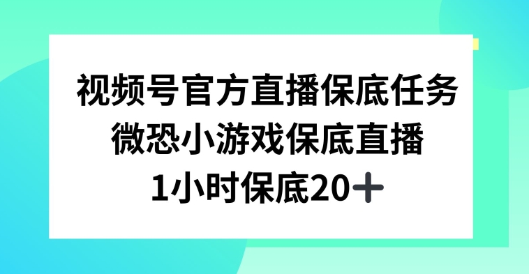 视频号直播任务，微恐小游戏，1小时20+【揭秘】-天天项目库