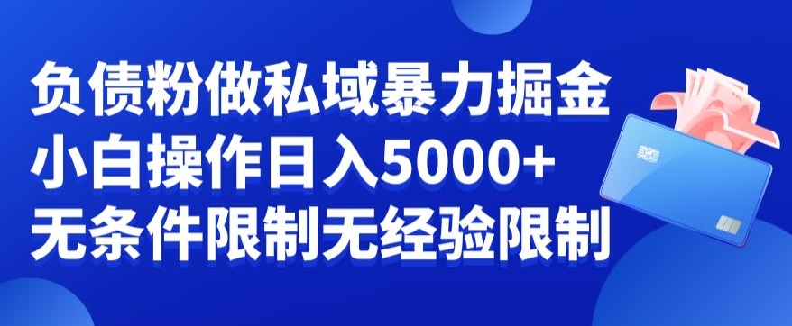 负债粉私域暴力掘金，小白操作入5000，无经验限制，无条件限制【揭秘】-天天项目库