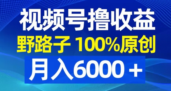 视频号野路子撸收益，100%原创，条条爆款，月入6000＋【揭秘】-天天项目库