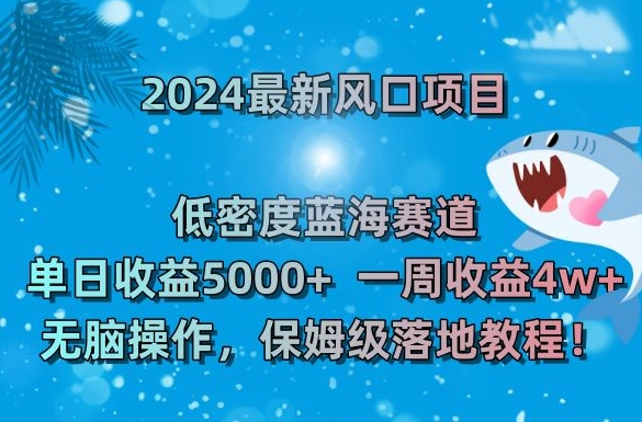 2024最新风口项目，低密度蓝海赛道，单日收益5000+，一周收益4w+！【揭秘】-天天项目库