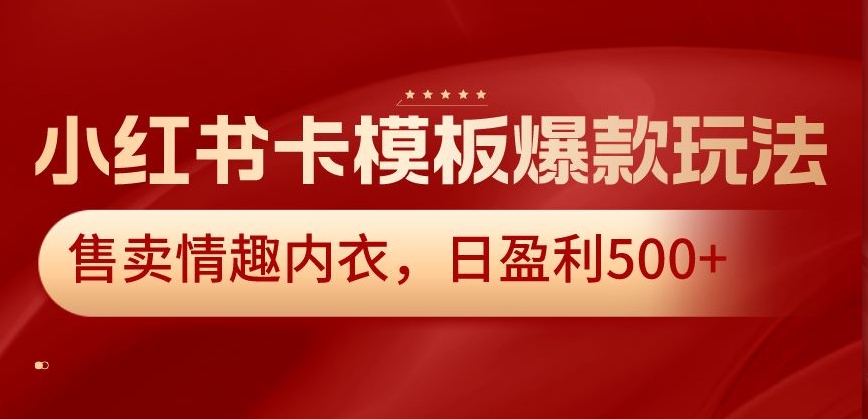 小红书卡模板爆款玩法，售卖情趣内衣，日盈利500+【揭秘】-天天项目库