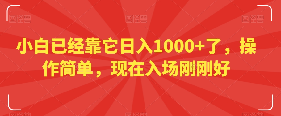 小白已经靠它日入1000+了，操作简单，现在入场刚刚好【揭秘】-天天项目库