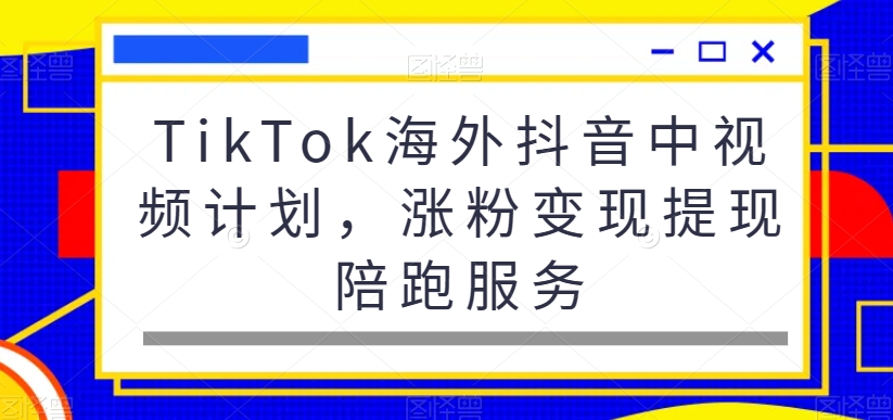 TikTok海外抖音中视频计划，涨粉变现提现陪跑服务-天天项目库