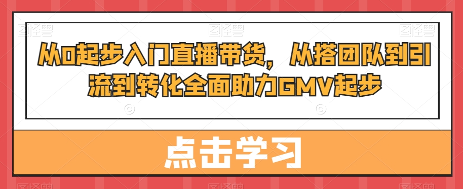 从0起步入门直播带货，​从搭团队到引流到转化全面助力GMV起步-天天项目库