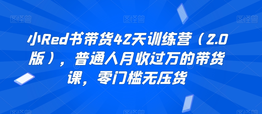 小Red书带货42天训练营（2.0版），普通人月收过万的带货课，零门槛无压货-天天项目库