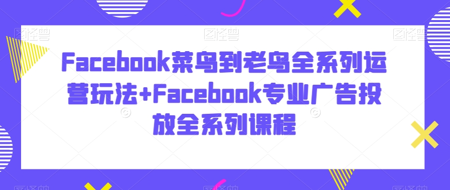 Facebook菜鸟到老鸟全系列运营玩法+Facebook专业广告投放全系列课程-天天项目库